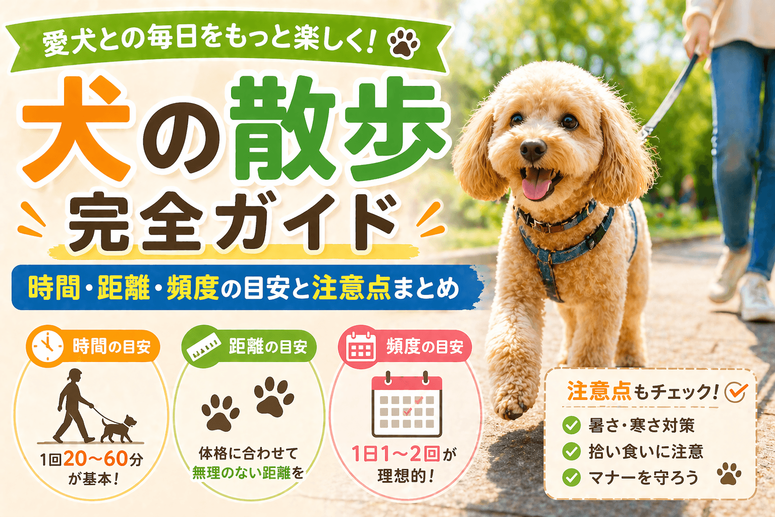 犬の散歩完全ガイド|時間・距離・頻度の目安と注意点まとめ